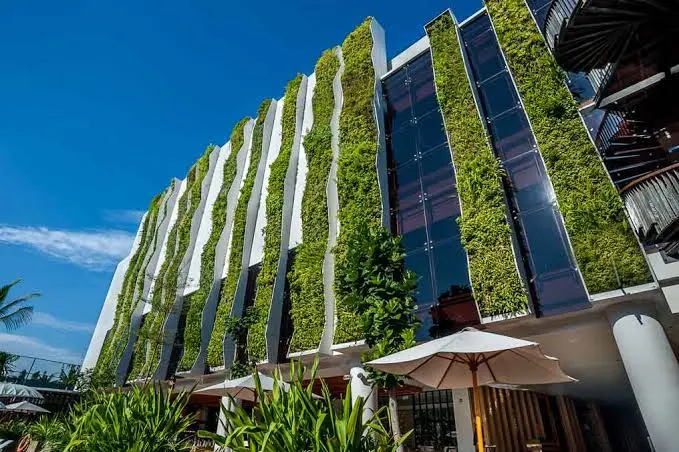 Jenis-Jenis Sistem Vertical Garden Panduan Lengkap Memilih Green Wall yang Tepat