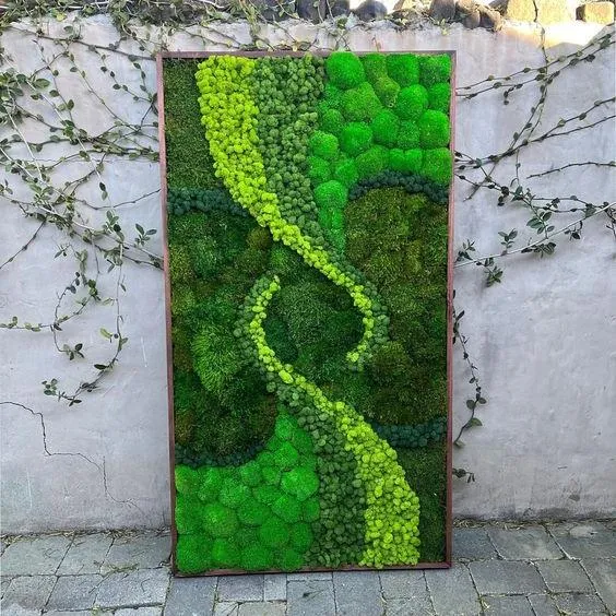Moss Wall Decor: Pengertian, Kelebihan, Harga, Cara Membuat, dan Perawatan