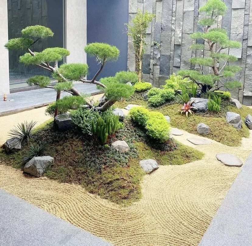 Pembuatan Taman Zen Garden