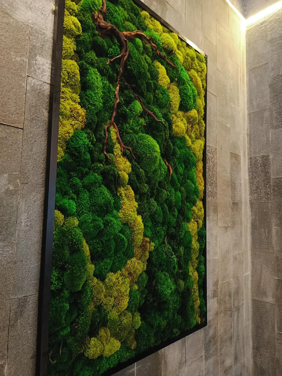 jasa pembuatan moss wall frame