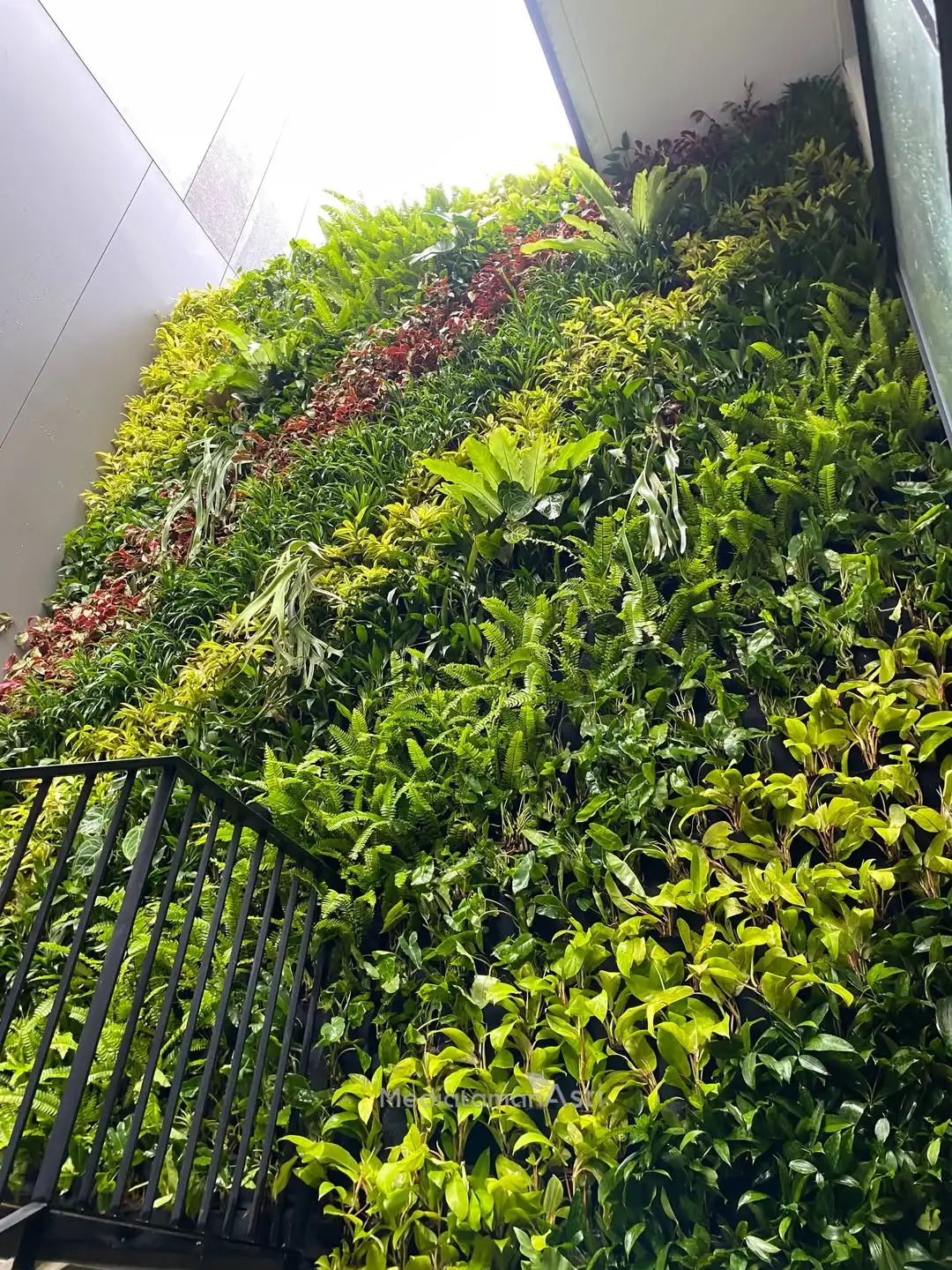 vertical-garden-bsd