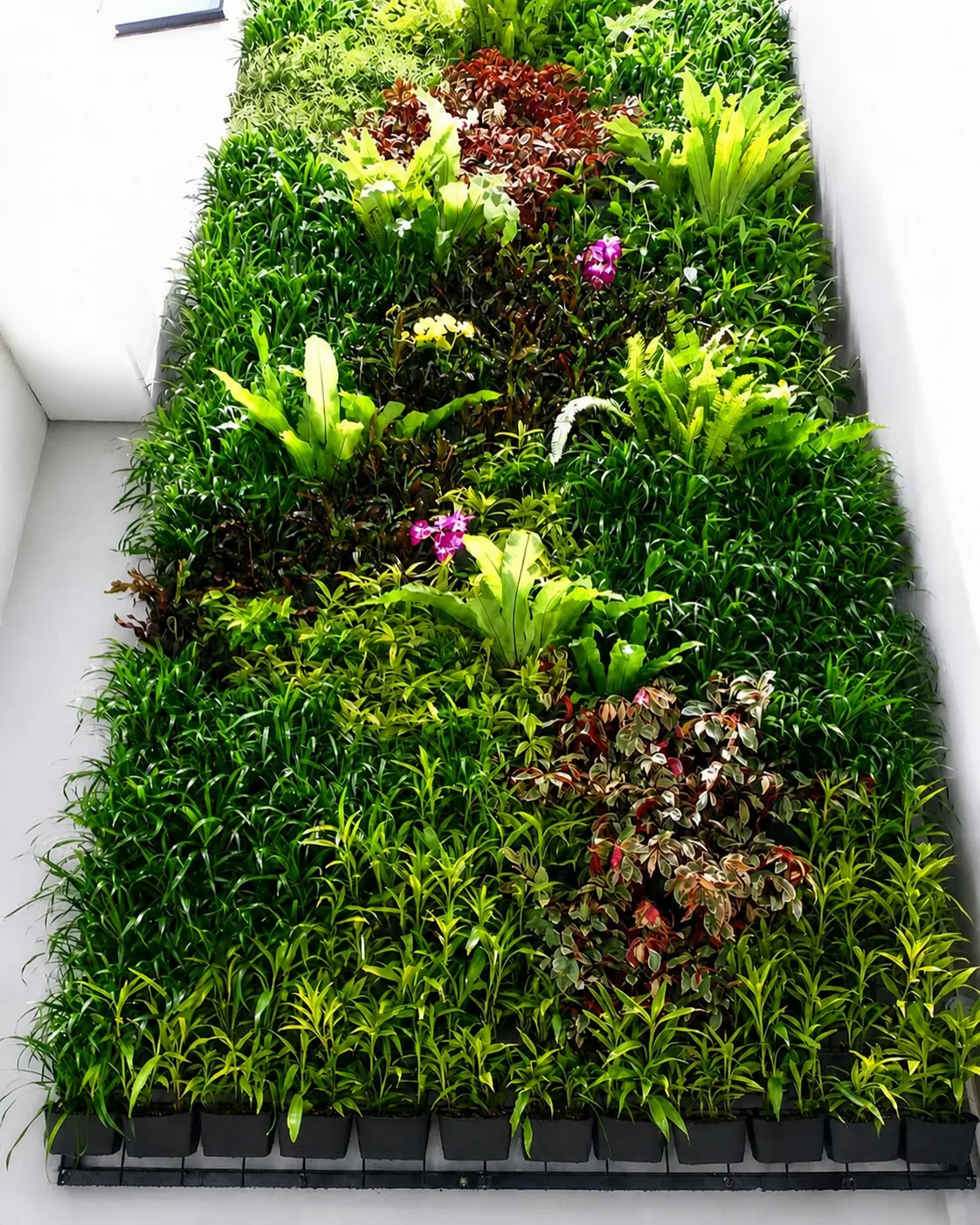 vertical-garden-area-jakarta