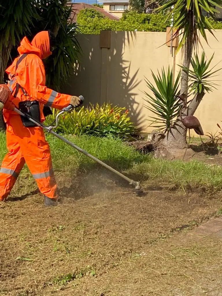 Jasa Perawatan dan Maintenance Taman Profesional