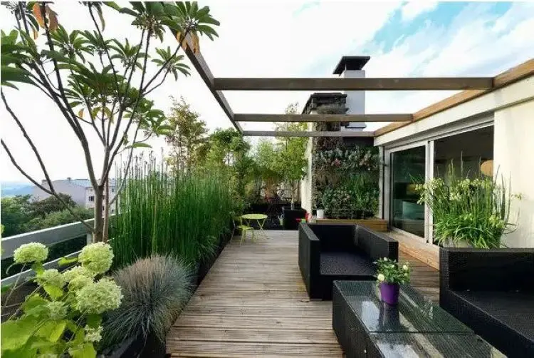 Rooftop & Indoor Garden